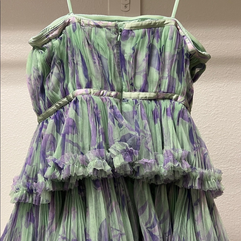Hutch Giada Floral Mesh Ruffle Gown - Picture 8 of 14